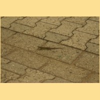 Kerb2009-011.JPG